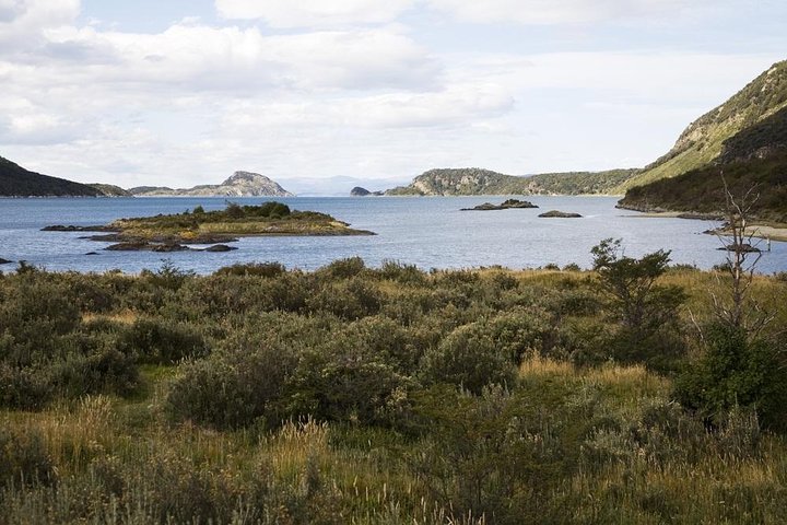 Ushuaia Shore Excursion: Private Tour of Tierra del Fuego National Park - Image 1