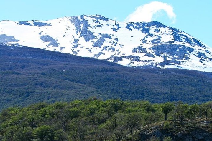 Ushuaia Shore Excursion: Private Tour of Tierra del Fuego National Park - Image 2