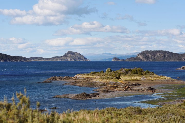 Ushuaia Shore Excursion: Private Tour of Tierra del Fuego National Park - Image 4