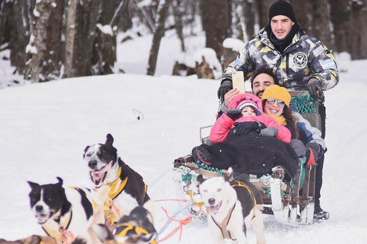 Winter in Ushuaia: Snowshoes, Snowmobile and Sleigh Rides - Image 4