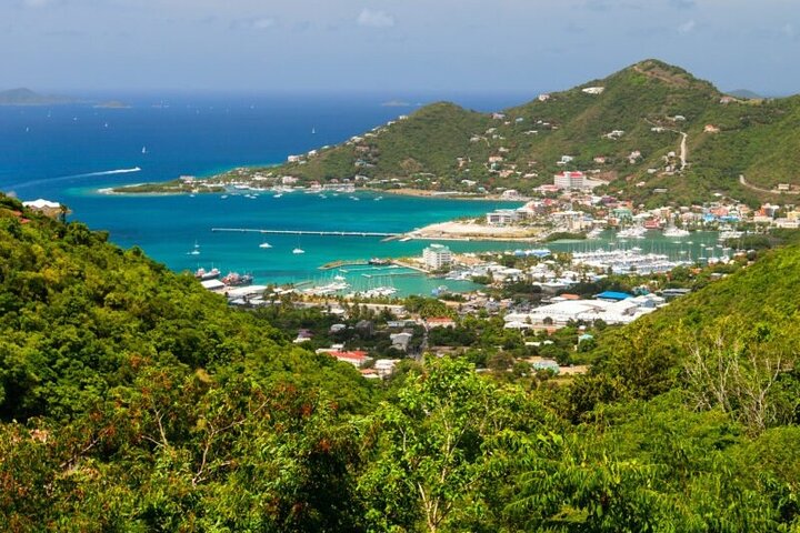 Beach Excursion in Tortola and sightseeing in Fahie Hills - Image 4