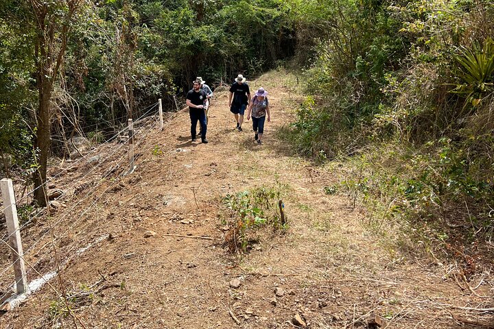 Mount Healthy National Park Private Hike Tour in Tortola - Image 3