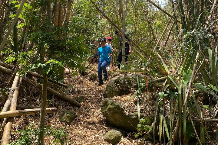 Mount Healthy National Park Private Hike Tour in Tortola - Image 1