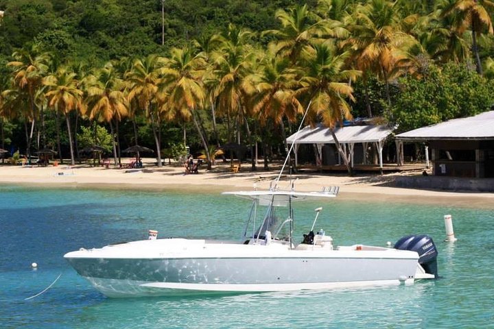 Sonic Charters- Full Day Boat Charter - 32' Intrepid Powerboat - Image 1