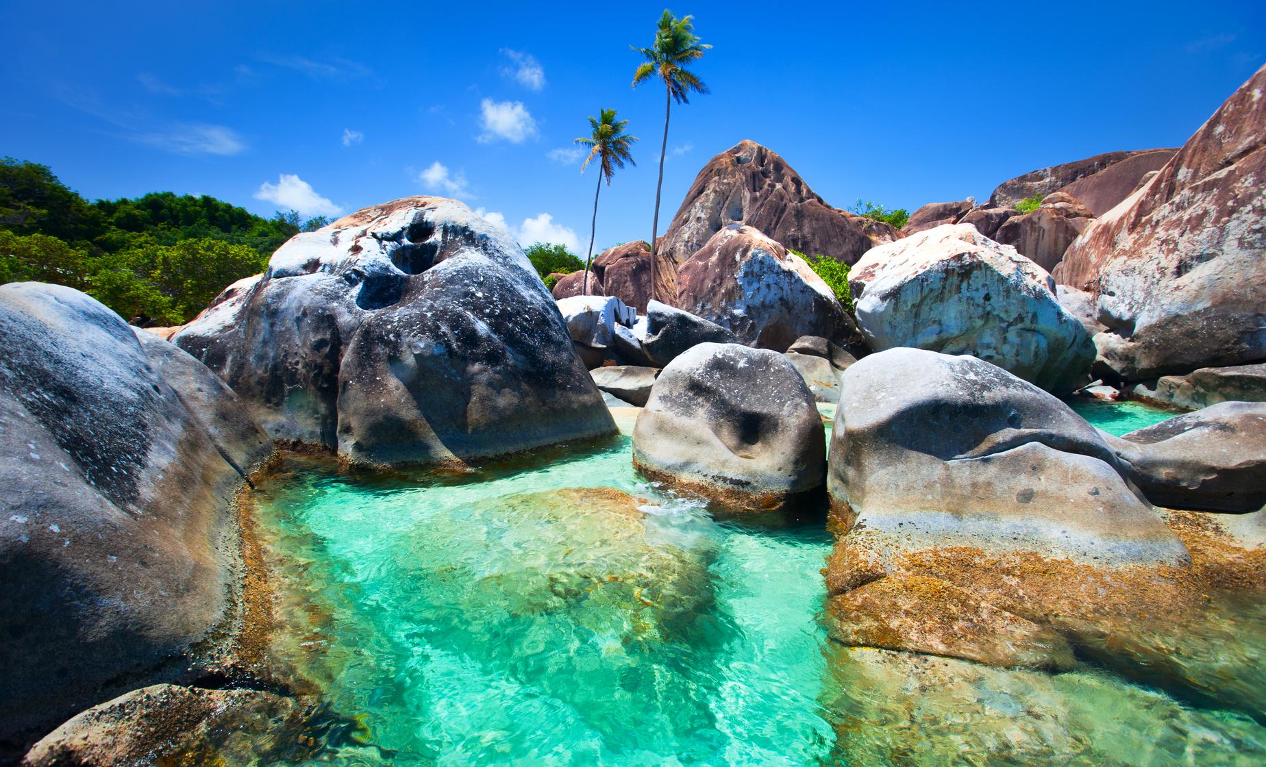 The Baths Discovery - Image 1