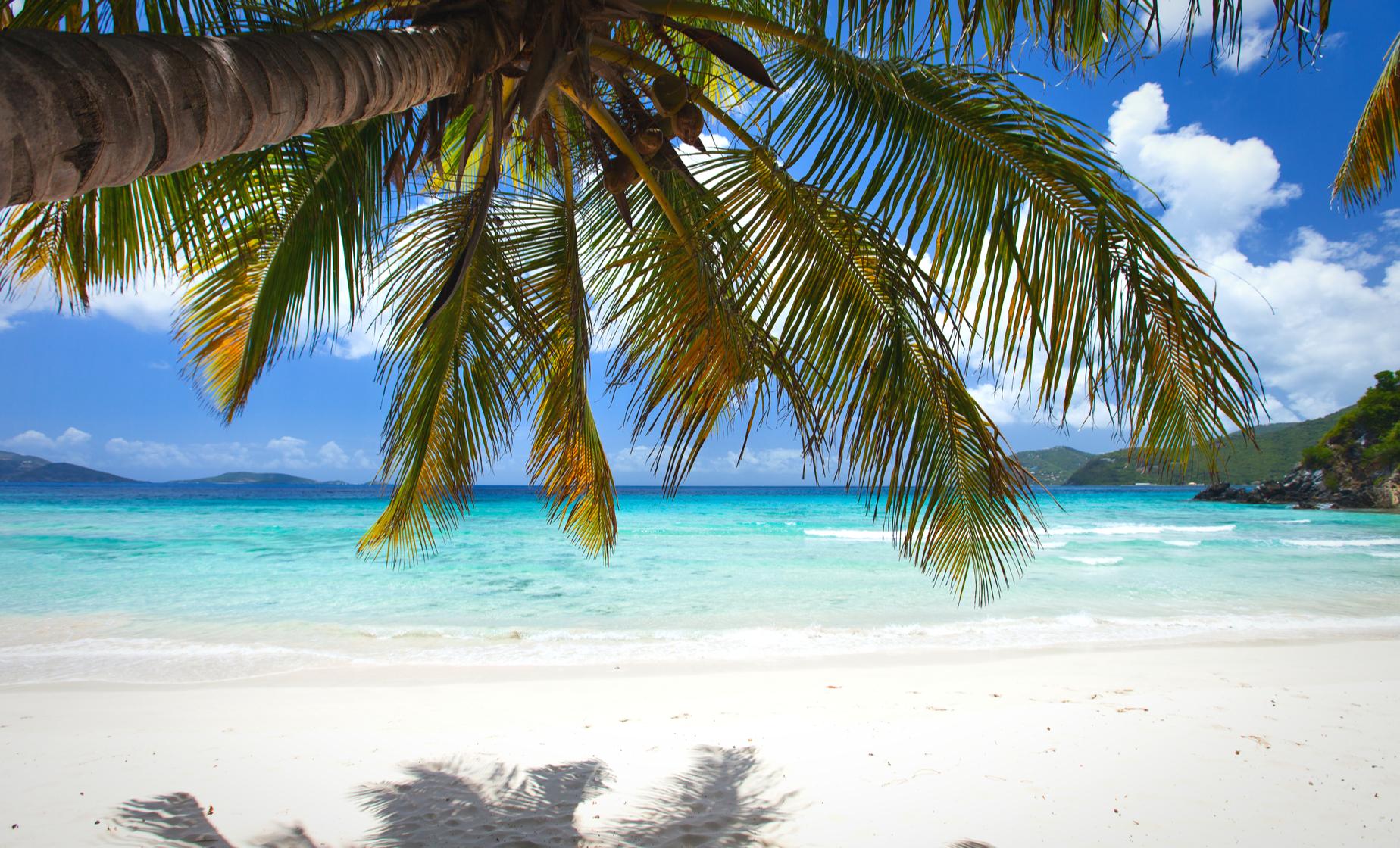 Tortola Beach Day - Image 1