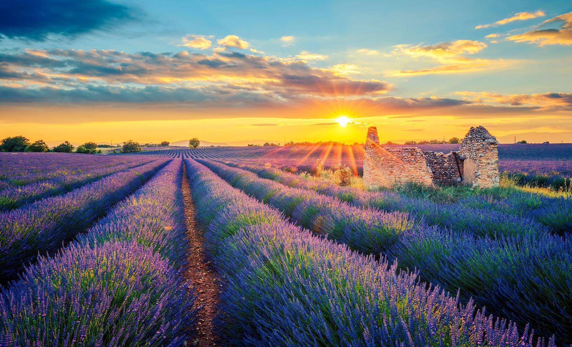 Private Provence: Le Castellet, Cassis and Marseille - Image 1