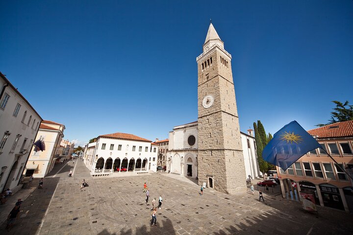 2 Hours Shared Taste Tour in Koper. - Image 3