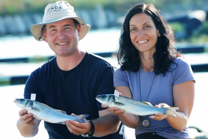 An Unforgettable Day With Fish, Wine and Olive Oil Tasting - Image 1