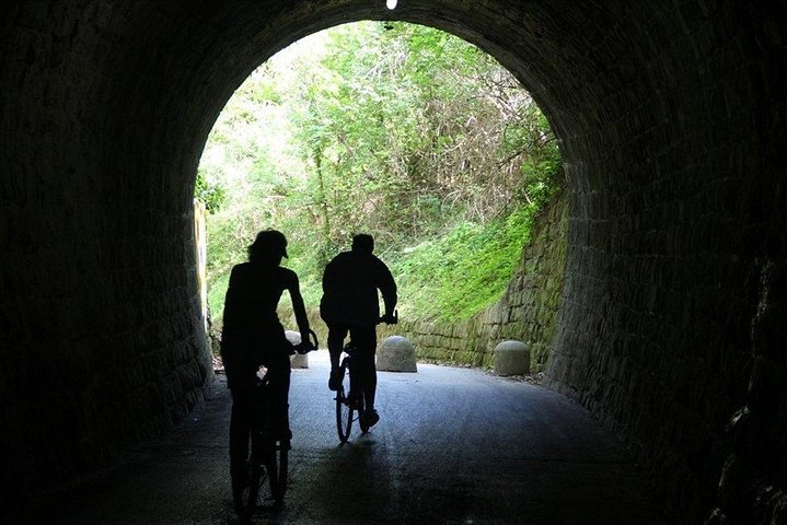 Biking Trip - Shore Excursion from Koper - Image 5