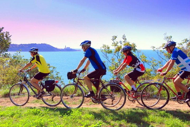 Biking Trip - Shore Excursion from Koper - Image 1
