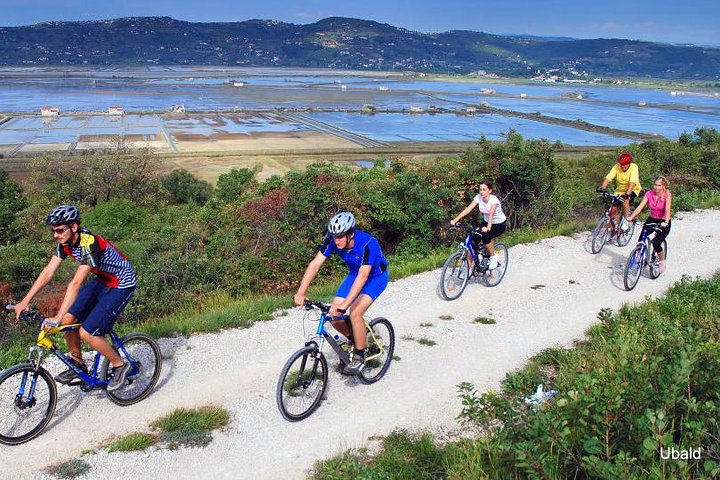 Biking Trip - Shore Excursion from Koper - Image 3
