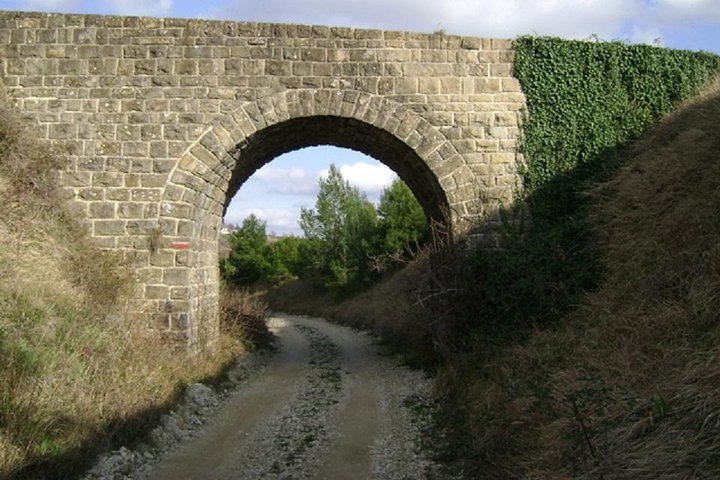 Biking Trip - Shore Excursion from Koper - Image 4