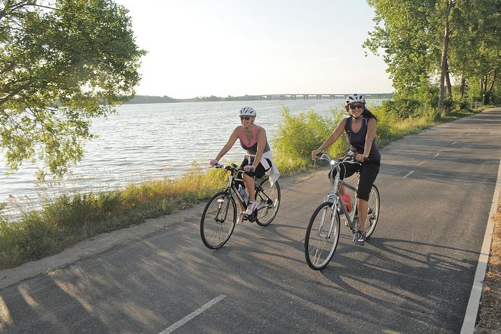 Biking Trip - Shore Excursion from Koper - Image 2