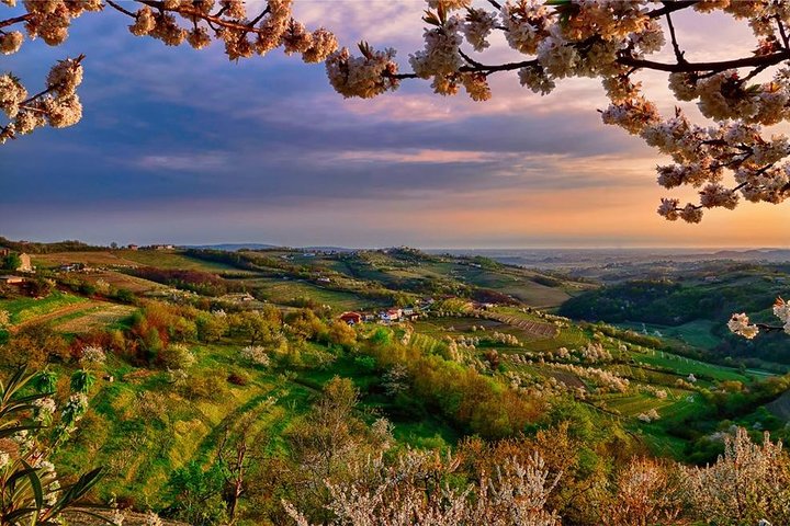 Collio: Cividale Del Friuli and Wine Tastings from Trieste - Image 1