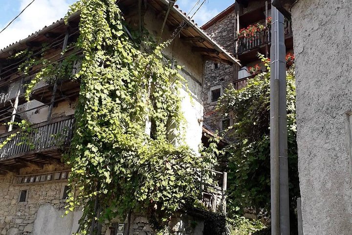 Collio Friuli Tourist Tour and Wine Tasting - Image 1