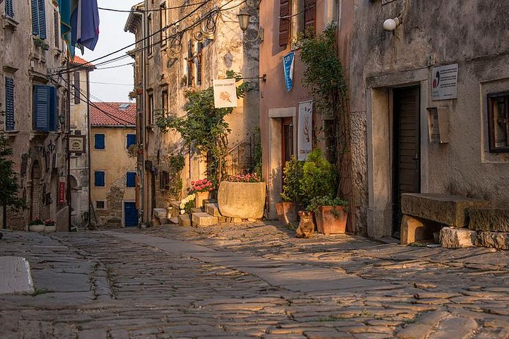 Flavours of Istria Tasting Experience from Trieste - Image 3