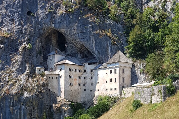 Half day tour to Postojna cave& - Private tour from Koper/Trieste/Piran - Image 5