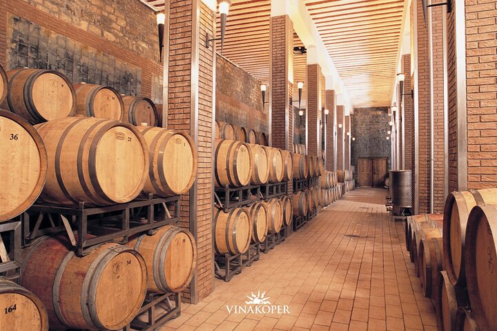 Koper & Wine tasting - Image 3