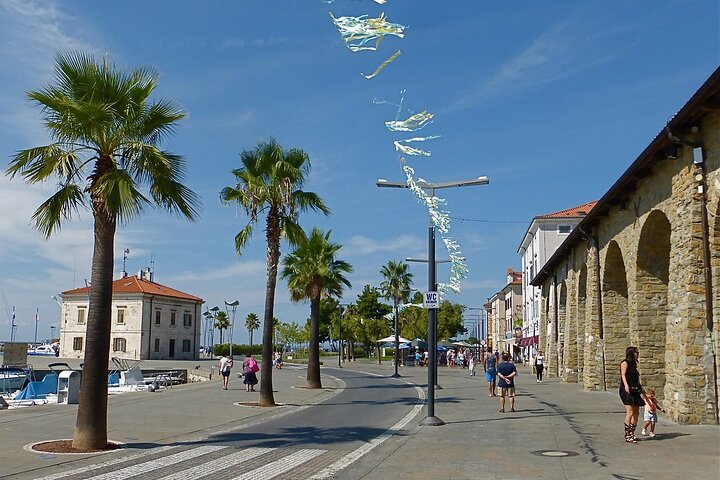 Koper & Wine tasting - Image 2