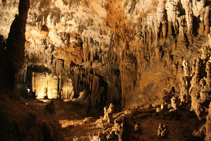 Lipica Stud Farm and Skocjan Caves from Koper - Image 3