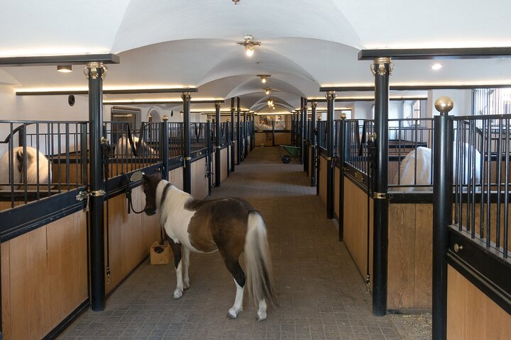 Lipica Stud Farm & Skocjan Caves - Small Group Tour from Koper - Image 5