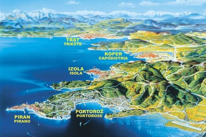 Piran and Scenic Slovenian Coast - Private Tour from Trieste - Image 2