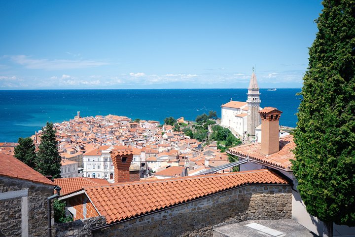 Piran Day Trip - Image 5