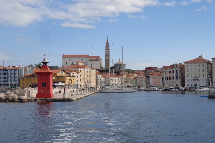 Piran & Panoramic Slovenian Coast - Small Group Tour from Koper - Image 4