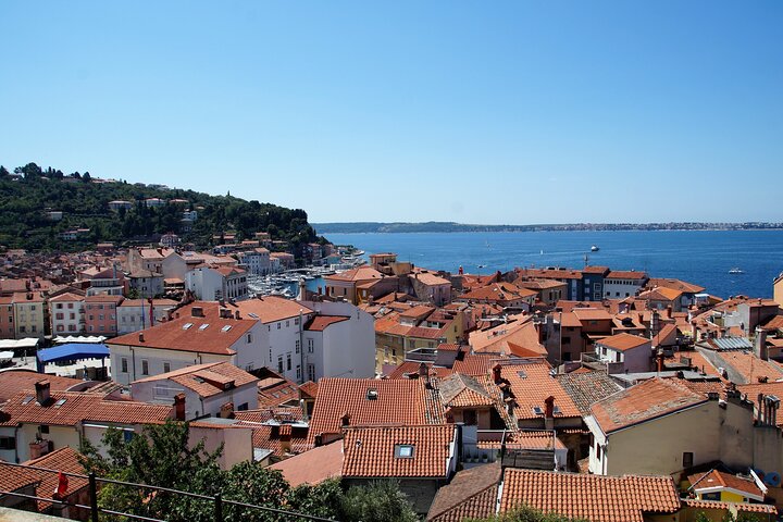 Piran & Panoramic Slovenian Coast - Small Group Tour from Koper - Image 5