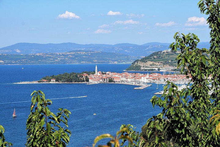 Piran & Panoramic Slovenian Coast - Small Group Tour from Trieste - Image 5