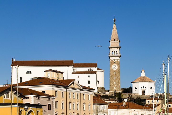 Piran & Panoramic Slovenian Coast - Small Group Tour from Trieste - Image 4