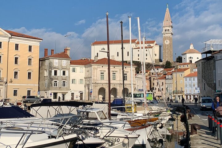 Piran & Panoramic Slovenian Coast Tour (up to 8 persons) - Image 5