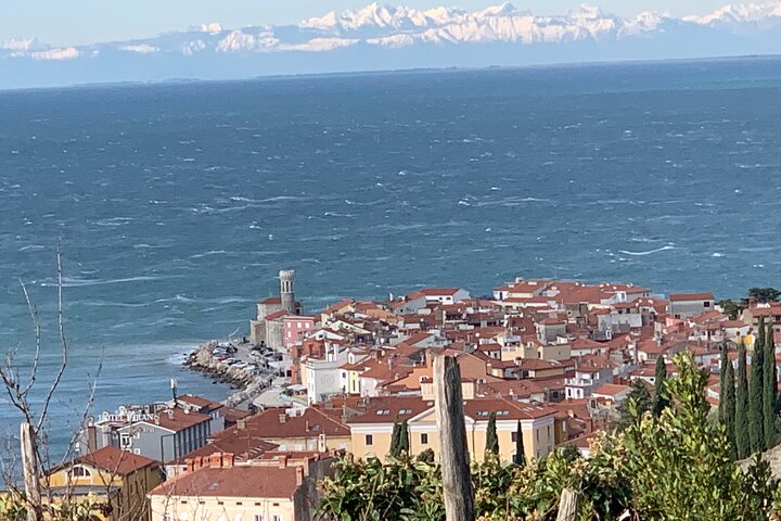 Piran & Panoramic Slovenian Coast Tour (up to 8 persons) - Image 4