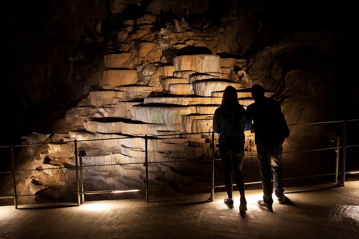 Piran, Skocjan Caves & Lipica | Private off cruise excursion from Koper - Image 3