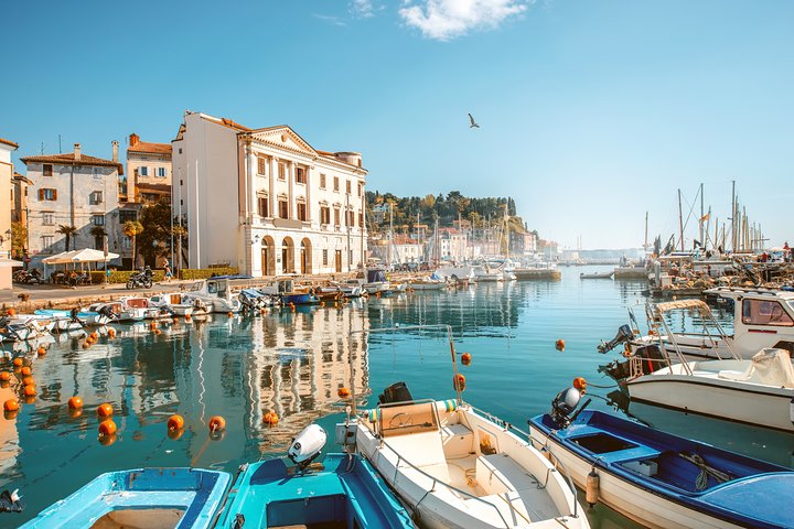 Piran, Skocjan Caves & Lipica | Private off cruise excursion from Koper - Image 4