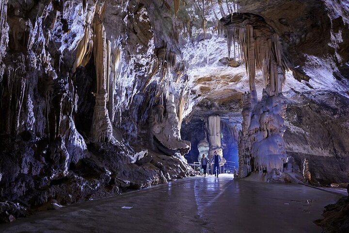 Postojna Cave and Castle Privat Tour From Koper, Trieste, Piran - Image 1