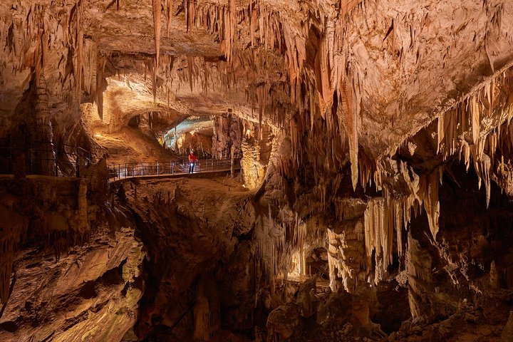 Postojna Cave & Predjama Castle from Koper - Image 4