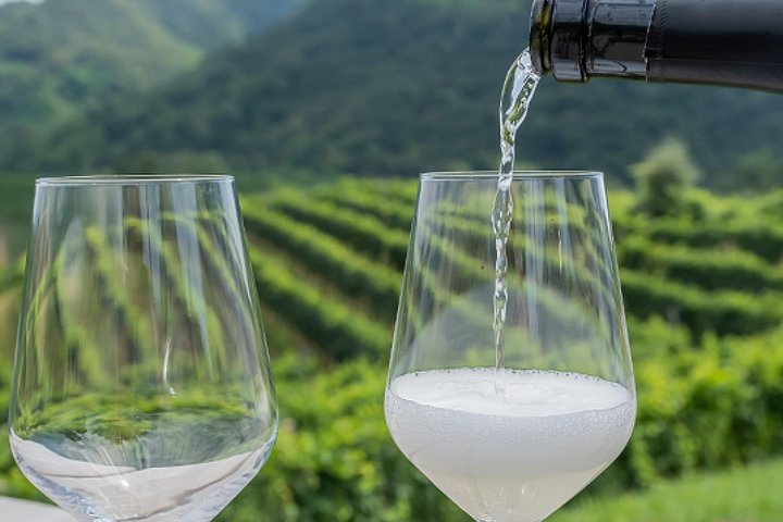 Prosecco’s Roots & the Karst Region from Trieste - Image 3