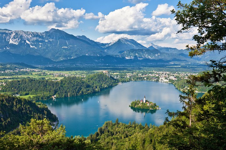 Shore Excursion/Day Tour to Postojna Cave and Lake Bled from Koper - Image 1