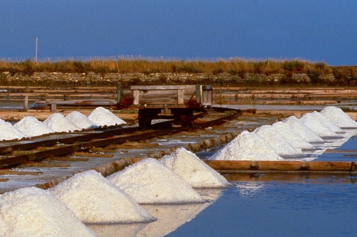Skocjan caves & Secovlje salt pans | Private off cruise excursion from Koper - Image 5