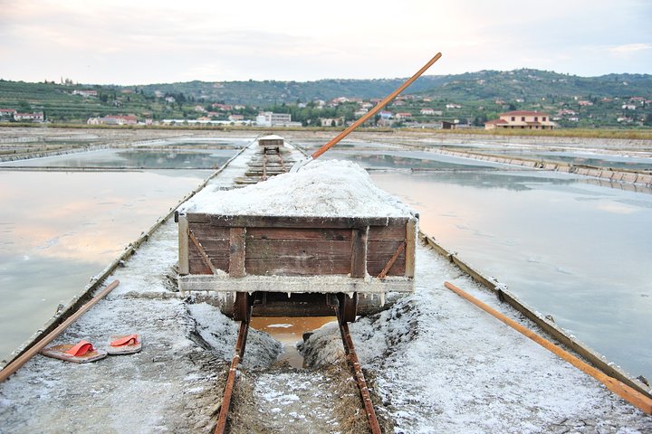 Skocjan caves & Secovlje salt pans | Private off cruise excursion from Koper - Image 3