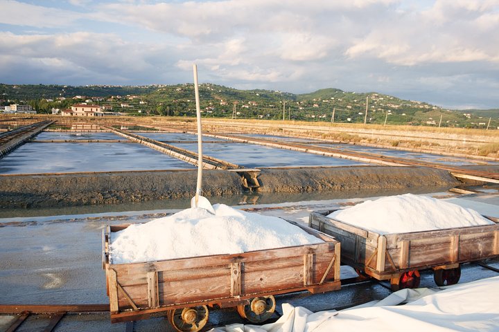Skocjan caves & Secovlje salt pans | Private off cruise excursion from Koper - Image 1