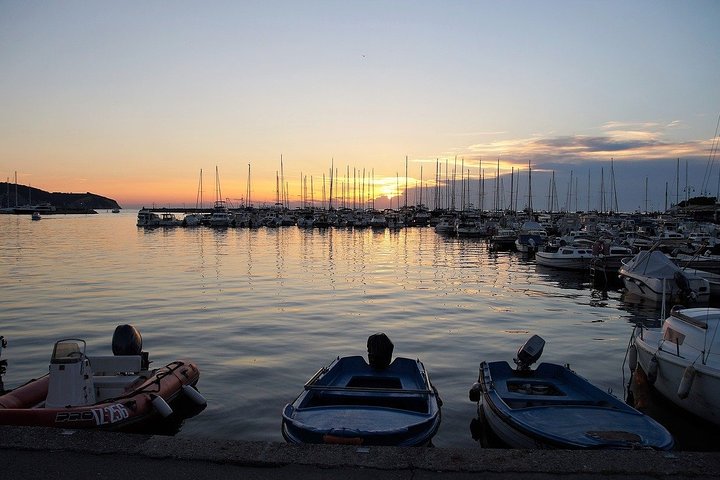 Slovenian coast roundtrip | Private off cruise excursion from Koper - Image 4