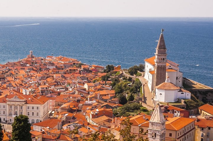 Slovenian coast roundtrip | Private off cruise excursion from Koper - Image 2