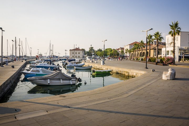 Slovenian coast roundtrip | Private off cruise excursion from Koper - Image 5