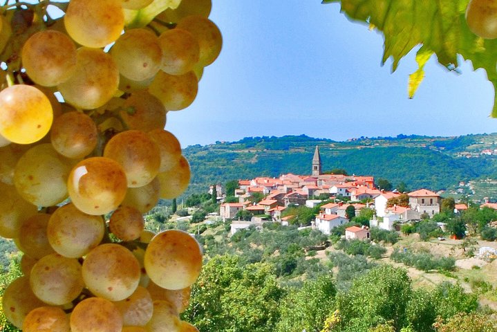 Slovenian Istria | Private off cruise excursion from Koper - Image 1