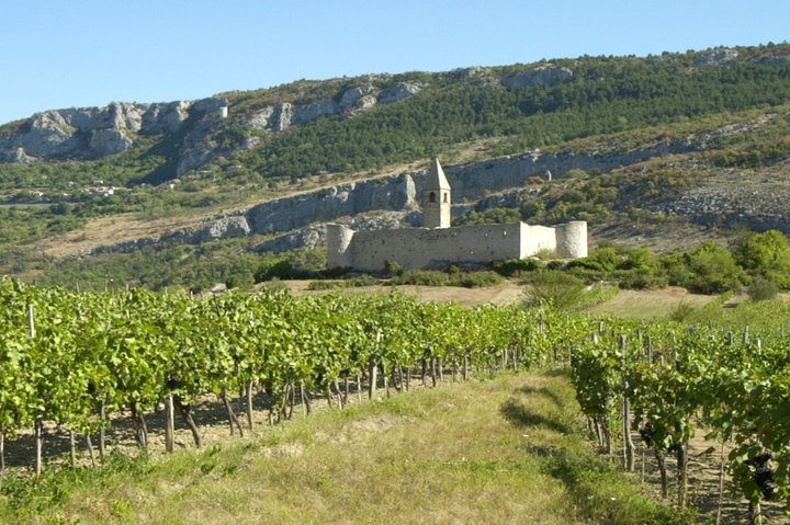 Slovenian Istria | Private off cruise excursion from Koper - Image 2