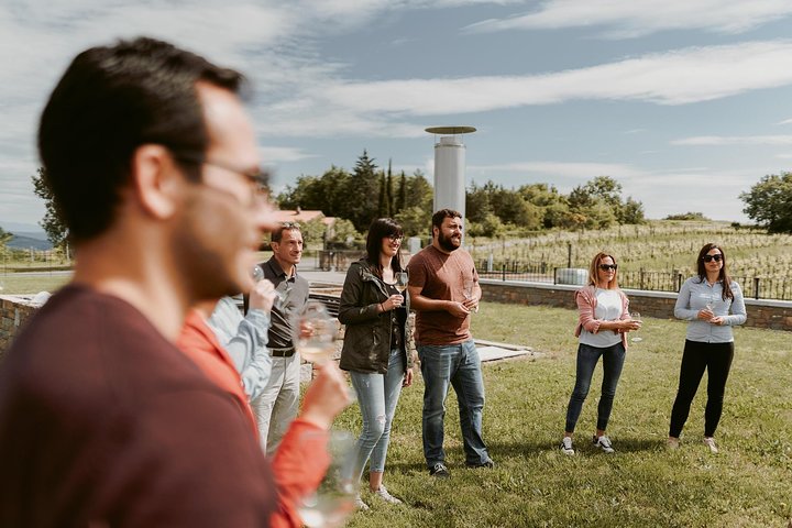 Wine Tour on the Coast - Image 2