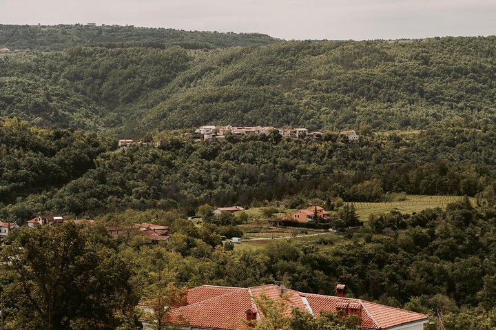 Wine Tour on the Coast - Image 5